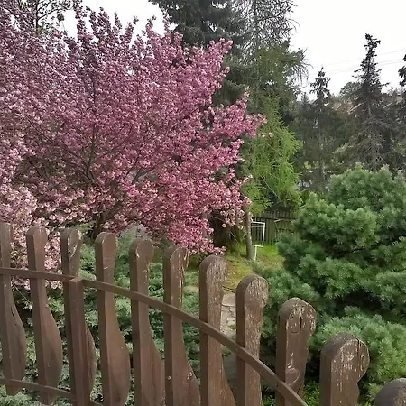 Guest house Cola Panzio