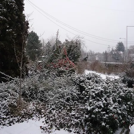 Guest house Cola Panzio Szentendre