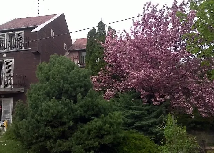 Gasthof Cola Panzio Szentendre