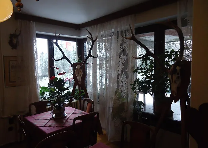 Gasthof Cola Panzio Szentendre